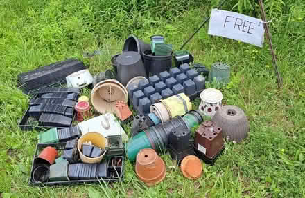 Photo of free Plant pots (Berkshire) #1