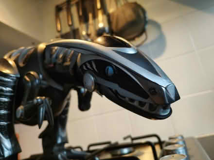 Photo of free Large Dino robot (Frome BA11) #2