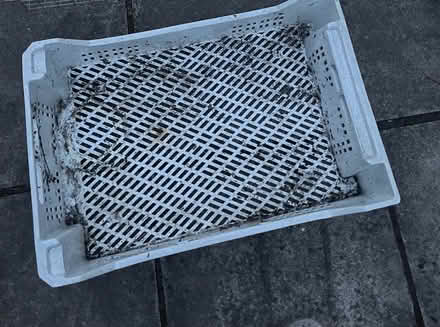 Photo of free Large plastic crate (Bromley BR2) #1