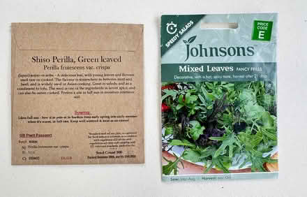 Photo of free Seeds: Mixed Salad & Shiso Perilla (East Marden) #1