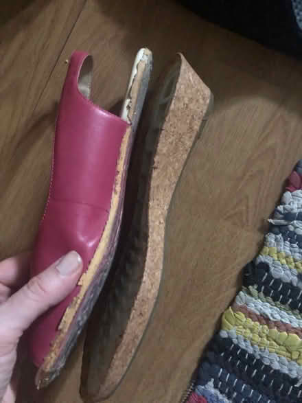 Photo of free Ladies shoes (Forest Hill SE23) #3