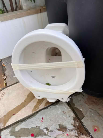 Photo of free Unused toilet basin (W11 4LH) #3