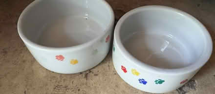 Photo of free Bowls, mugs, and dog bowls (Beaconsfield HP9) #2