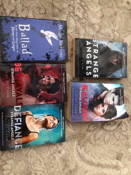 Photo of free 5 books (Walderslade Bottom ME5) #1
