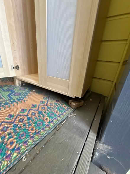 Photo of free IKEA armoire (203 Bennington St) #2