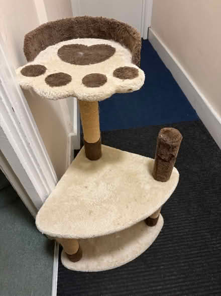 Photo of free Corner cat scratch tower (Llandaff CF5) #1
