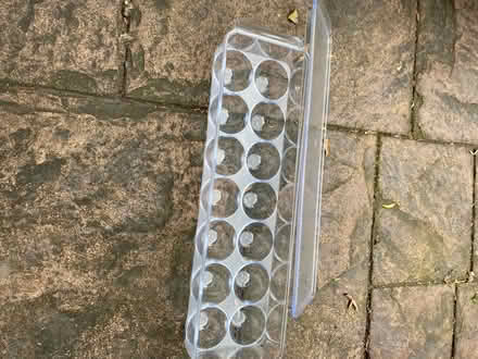 Photo of free Egg holder (Hazel Grove SK7) #1