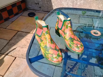 Photo of free Wellington boots- ankle height (Monkstown, County Dublin) #1