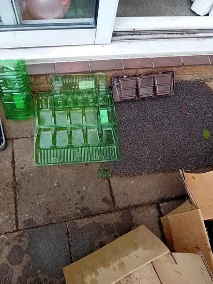 Photo of free Packaging for transporting plants (South Belfast) #1