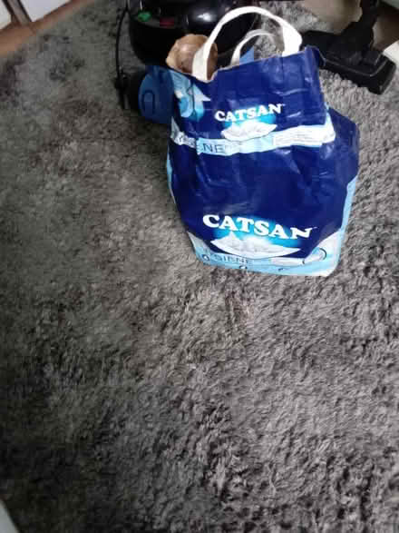 Photo of free Cat litter (Maidenhead SL6) #1