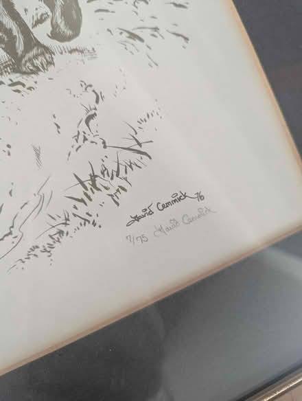 Photo of free Framed badger print (Rowlands Gill NE39) #3