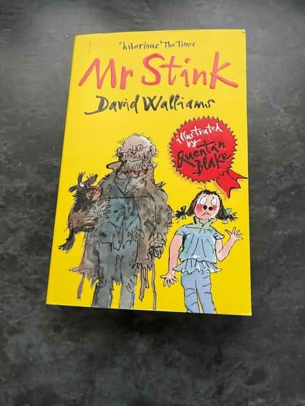 Photo of free David Walliams - Mr Stink book (Lightwater GU18) #1