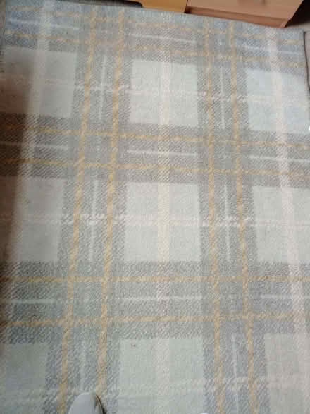 Photo of free Rug (Burscough Bridge L40) #2