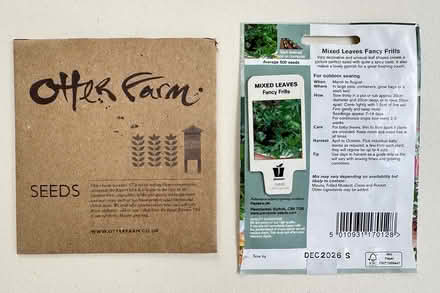 Photo of free Seeds: Mixed Salad & Shiso Perilla (East Marden) #2