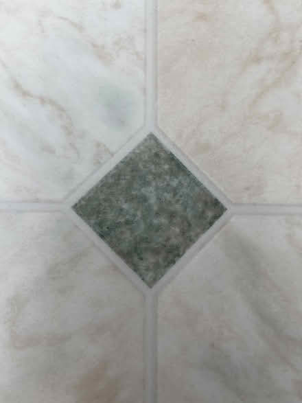 Photo of free 3 lengths of vinyl flooring (Flesher's Haugh G40) #3