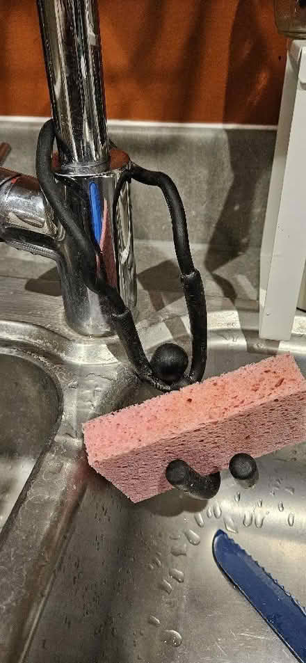 Photo of free Over sink sponge holder (City of Bristol BS4) #1