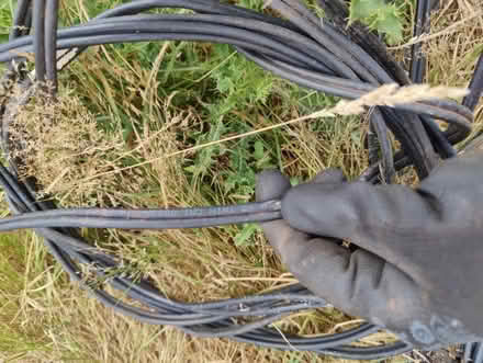 Photo of free TV / Coax cable and splitter (Abertillery NP13) #3