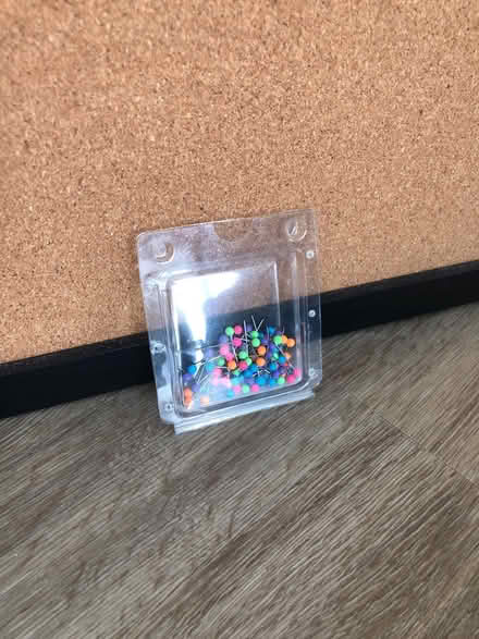 Photo of free Cork Board w/ Pins (South End) #2