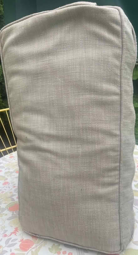 Photo of free Cushions (Ardmore) #2