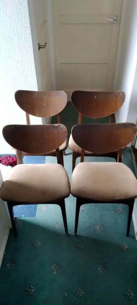 Photo of free Butterfly wing back chairs (4 set) (Wollaton NG8) #1