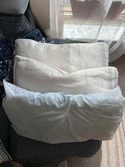 Photo of free 3x used pillows (Home WR1) #1