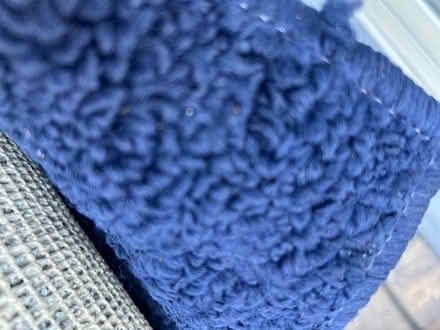 Photo of free Area rug (Brockport) #1