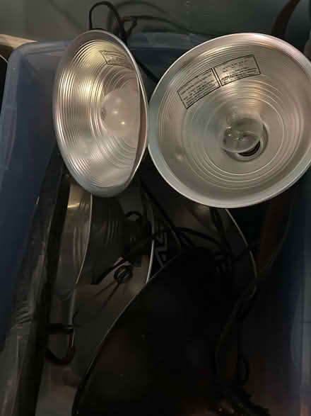 Photo of free Photo light/umbrella (Frederick) #1