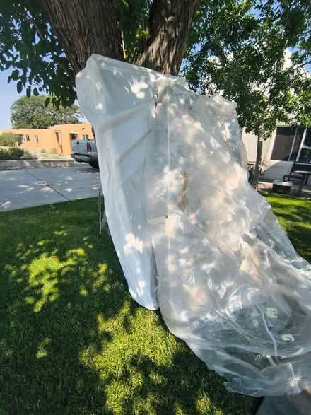 Photo of free Twin size Mattress and Box Spring (Uptown) #1