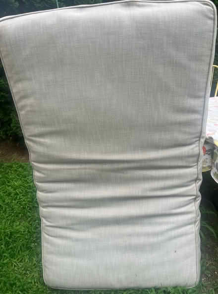 Photo of free Cushions (Ardmore) #3