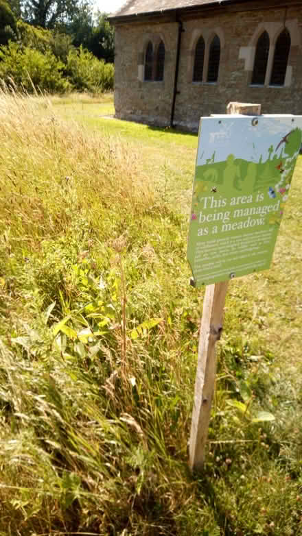 Photo of free Green hay Culmington SY8 2DB (Culmington SY8) #1