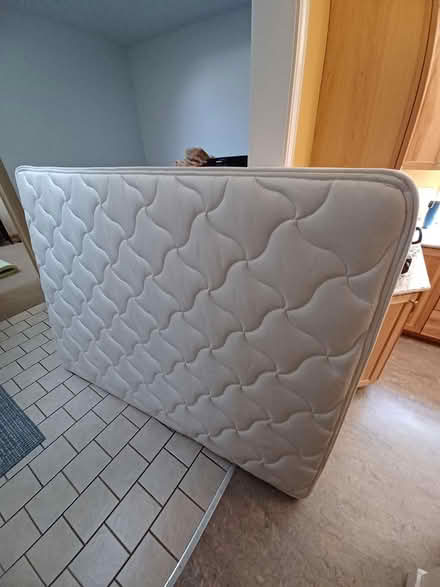 Photo of free Queen box spring (Linn st, ithaca) #1