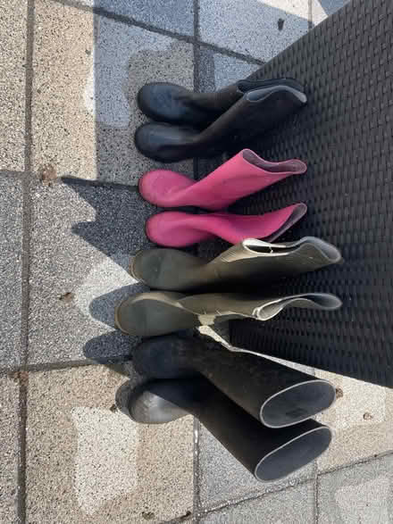 Photo of free Wellington Boots (Mickleover, Derby, DE3) #1