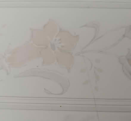 Photo of free Wall tiles (Edinburgh EH4) #2