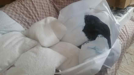 Photo of free polystyrene filling balls (S5 southey green S5) #1