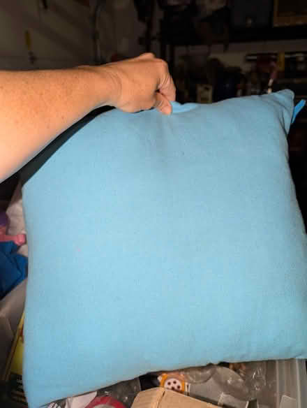 Photo of free Throw Pillow (Northeast) #1