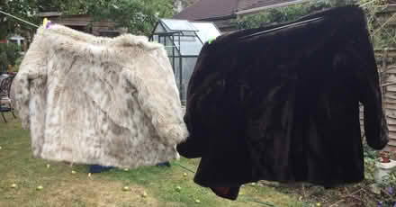 Photo of free Two Faux Fur Coats, perfect for the summer! (Bognor Regis PO21) #4