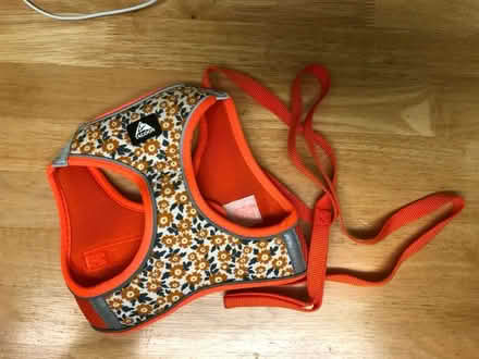 Photo of free Pet harness (Cambridge CB1) #1