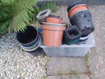 Photo of free Plastic plant pots (Hailsham BN27) #1