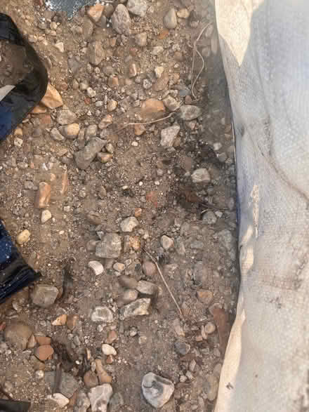 Photo of free Ballast (West Drayton UB7) #1