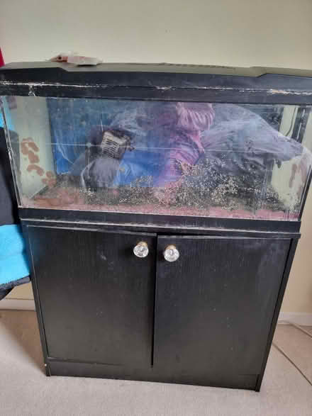 Photo of free Fish tank 80L+- cabinet (Bathford, BA1) #1