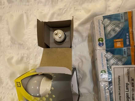 Photo of free Light bulbs (Kilburn NW6) #3