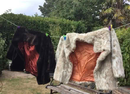 Photo of free Two Faux Fur Coats, perfect for the summer! (Bognor Regis PO21) #3