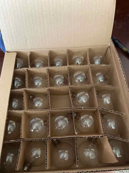 Photo of free Party light extra bulbs (Mason) #1