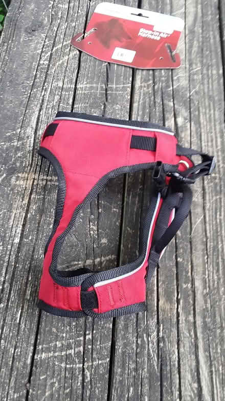 Photo of free Dog harness (NE Ann Arbor) #3