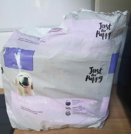 Photo of free Puppy Training Pads (South Woodham Ferrers) #1