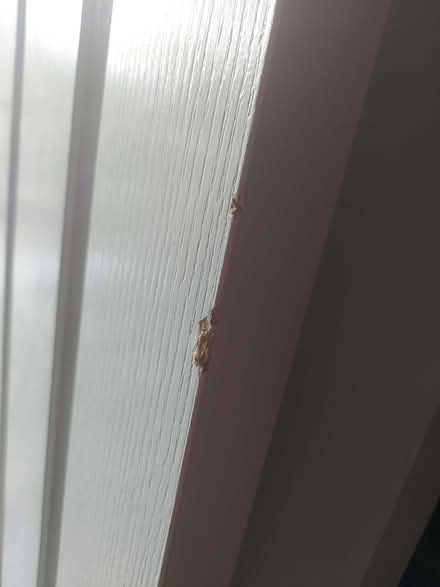 Photo of free Two internal doors (Kidsgrove ST7) #4