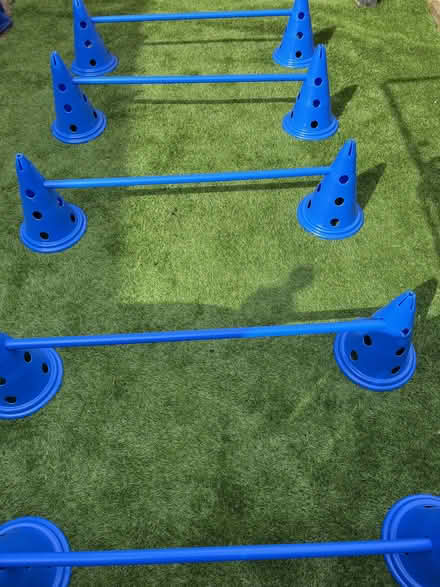 Photo of free Puppy paraphernalia - happy to split (Flesher's Haugh G40) #2