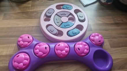 Photo of free Mental stimulation toys for dogs (Kirk Hallam) #1