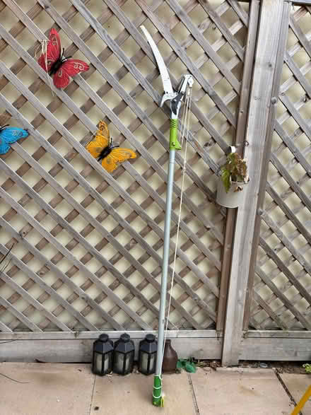 Photo of free Tree pruner (Bexleyheath DA6) #1