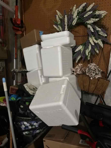 Photo of free Styrofoam containers (Dickinson Kings Contrivance) #1
